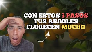 ✔Como hacer FLORECER Aboles FRUTALES  3 Pasos [upl. by Acirtap]