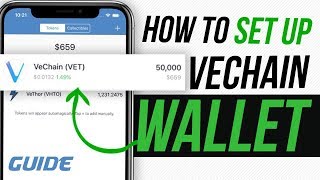 VeChain Ledger Nano S Wallet Guide [upl. by Ynavoeg]