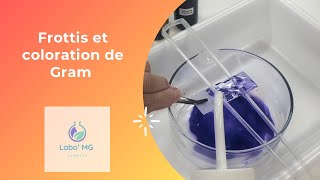 Microbiologie  Frottis et coloration de Gram d’un yaourt [upl. by Dlareme]