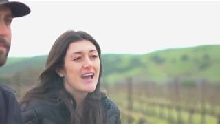 Organic Biodynamic and Sustainable Wine Whats the difference [upl. by Drake]