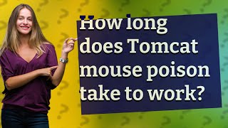 How long does Tomcat mouse poison take to work [upl. by Waterman]