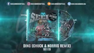 Seeed  Ding Chuck amp Norris Remix [upl. by Htbazile645]