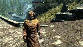 Skyrim Funny Moments [upl. by Lira654]