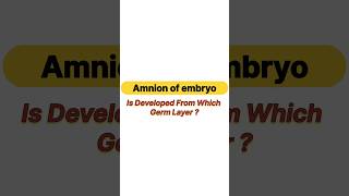 Amnion of Embryo is developed from which germ layer [upl. by Enyahs]