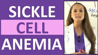 Sickle Cell Anemia Nursing  Symptoms Pathophysiology Sickle Cell Crisis amp Trait [upl. by Gord373]