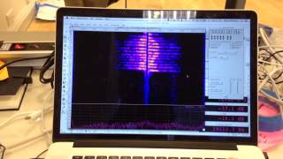 doppler sonar test with baudline [upl. by Fred]