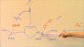 Superoxide Dismutase [upl. by Morie]