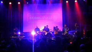 The Skankaroos  I Never Meant To Hurt You  Live Rockhal EschAlzette [upl. by Mobley300]