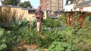 Mon jardin potager urbain permaculture Sept 2015 [upl. by Nageet]