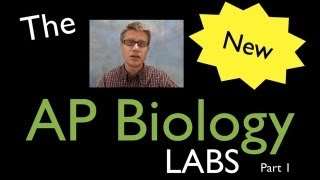 AP Biology Labs  part 1 [upl. by Abernon540]