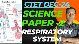 Ctet science paper 2  Ctet December 2024  respiratory system [upl. by Kcirdef]