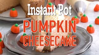 Instant Pot Pumpkin Cheesecake Recipe [upl. by Dosia]