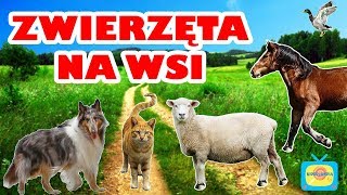 Zwierzęta na wsi  Nauka zwierząt dla dzieci po polsku  Odgłosy zwierząt  Farma [upl. by Manfred303]