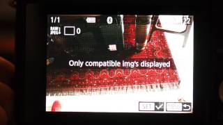 Canon EOS M100 Menus No sound [upl. by Venetia]