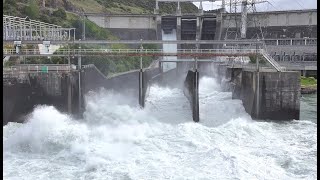 BREAKING NEWS Roxburgh Dam spillway  Clutha River after heavy Rain  by Drone [upl. by Aiym]