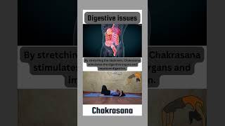 Improve Digestion with Chakrasana 🌿 Chakrasana DigestionHealth [upl. by Schmitz]