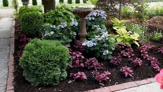 Adding Plants Around Tuff Stuff AhHa Hydrangea [upl. by Ntisuj]