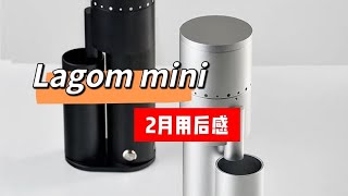 Optiono Lagom mini coffee grinder  Feedback after 2 months using [upl. by Tan]