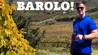 Wine Collecting BAROLO Overview amp 7 Top Barolo Wine Producers [upl. by Aneehs]