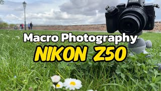 Nikon Z50 Macro Photography Tutorial [upl. by Cly]