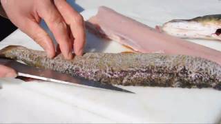 Hecht filetieren  How to filet pike or jackfish [upl. by Siuraj955]