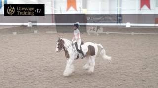 Billy Whiz Dressage Training  Furry Cob Flying Changes [upl. by Entirb]