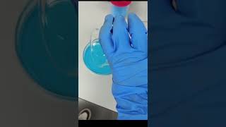 Crystallization of Copper Sulfate [upl. by Elkin]