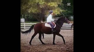 Pro at losing stirrups 😭 my seat looks so heavy here [upl. by Jeunesse]