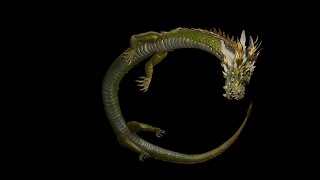 SHENRON DRAGONS AND TYANS NFT Blender3d animation Chinese Dragon Fly [upl. by Ignacius148]