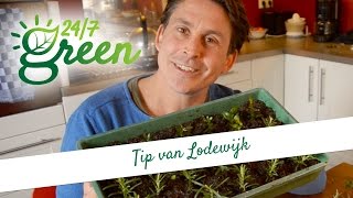 Tip van Lodewijk Stekken [upl. by Staten]