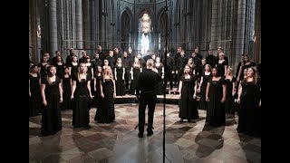 Augustana Choir International Tour 2018 [upl. by Leunam]