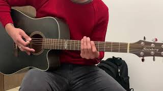 Sonne  Rammstein acoustic cover  Strinberg SD200C TOS [upl. by Lorrin]