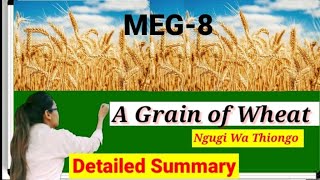 A Wheat of Grain novel by Ngugi Wa Thing summary in Hindi meg8 new English literature ignou [upl. by Zoller738]