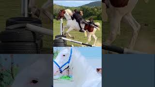 Horse video  horse Riding girl horse riding beautiful dular Horse [upl. by Swanhildas]