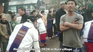 During the HariBula Myoko 2020 at Hari Village [upl. by Lledraw]