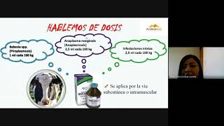 IDOCARB12  Solución inyectable para el tratamiento y prevención de anaplasmosis y piroplasmosis [upl. by Bonneau685]