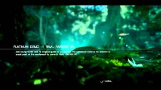 FFXV Platinum Demo Forest BGM [upl. by Jameson]