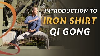 Introduction to Iron Shirt Qi Gong  11Min Routine [upl. by Just314]