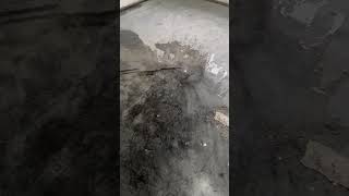 Terrazzo floors in very poor condition [upl. by Eneroc]