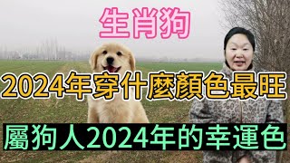 生肖屬相狗！屬狗人在2024年穿什麼顏色最旺？生肖屬狗人2024年幸運色是什麼！本期視頻講述2024生肖狗！運勢 顏色 風水 2024 [upl. by Muirhead]