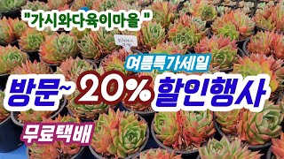 무료택배가시와다육이마을 여특특가할인행사 진행중 방문 20할인 [upl. by Wieche996]