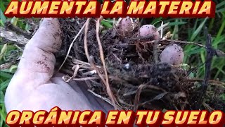 AUMENTA EL  DE MATERIA ORGÁNICA EN TU SUELO [upl. by Tteraj]