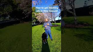 How to Get a Teaching Job in New Zealand  StepbyStep Guide for Teachers education teaching [upl. by Ahsirahc]