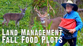 How to Manage Fall Food Plots for Deer  Land Management Part 5 823 [upl. by Enajaras]