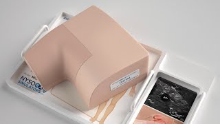 AXILLARY BRACHIAL PLEXUS NERVE BLOCK ULTRASOUND SIMULATOR [upl. by Tonkin265]