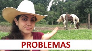 Problemas de quem trabalha com cavalos  20diascomGabiGobo  Canal Jeito de Cowboy [upl. by Bohlen]