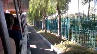 DISNEYfam  POV Tram ride from Parking Lot to Park Entrances Stop [upl. by Alrac]