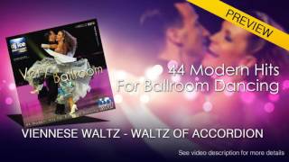 VIENNESE WALTZ  Dj Ice  Waltz Of Accordion 60 BPM [upl. by Neesay620]