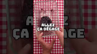 Logique foryou recette recettefacile food cuisine funnyvideo recipe cuisinefacile [upl. by Bab]