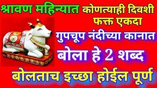 श्रावण महिन्यात गुपचूप नंदीच्या कानात बोला हे 2 शब्द बोलताच इच्छा होईल पूर्ण Shravan 2019 [upl. by Sonahpets927]